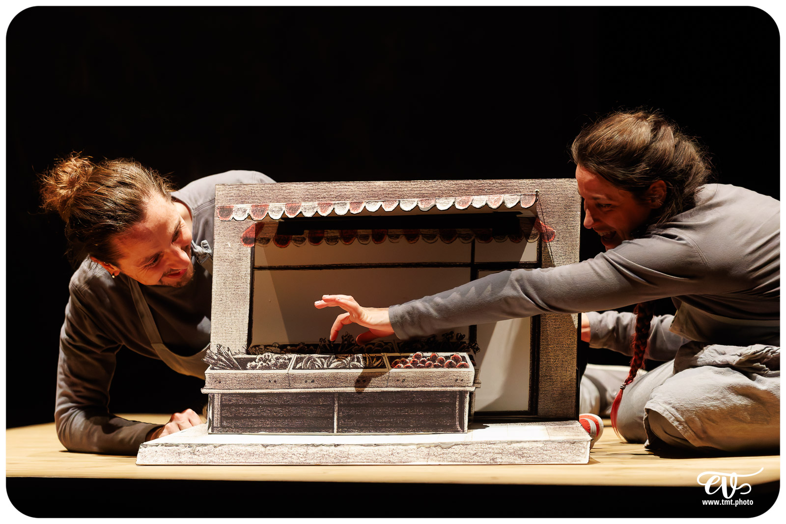 LA TRISTESSE DE L'ELEPHANT (CIE DES RIVES DE L'ILL)